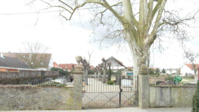 Friedhof Zienken