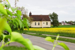 Heilig-Kreuz-Kapelle mit gelbem Feld im Vordergrund