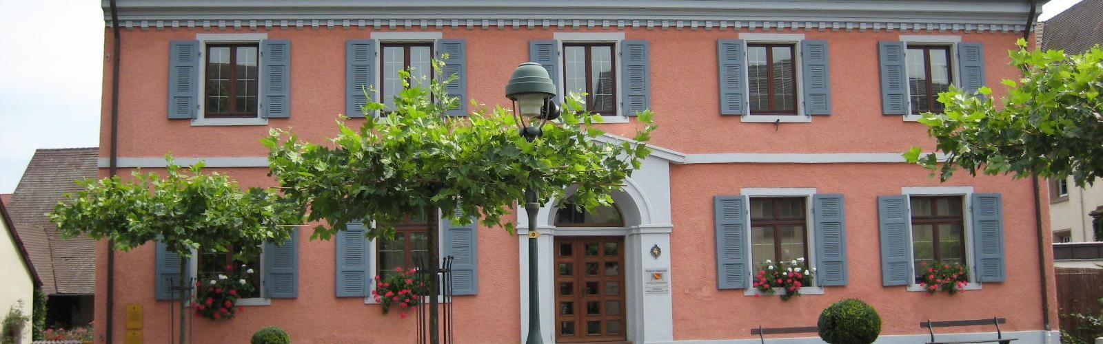 Museum für Stadtgeschichte mit Vorplatz und Bäumen